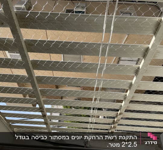 רשת מתוחה על תקרה למניעת כניסת יונים